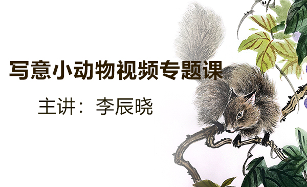 写意小动物视频专题课