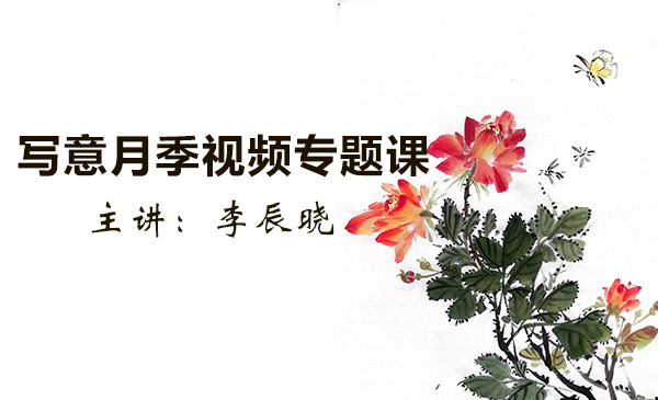 写意月季视频专题课