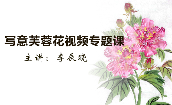写意芙蓉花视频专题课