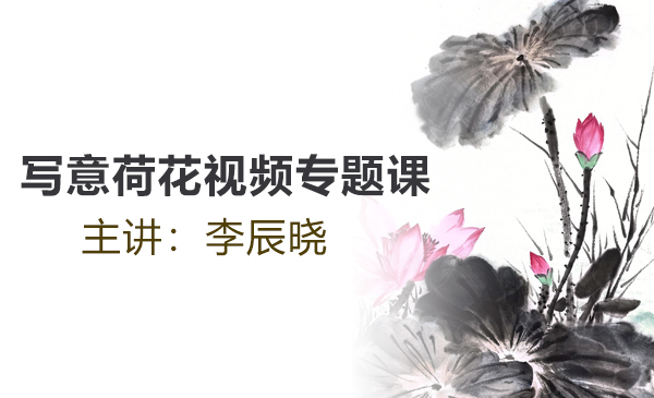 写意荷花视频专题课
