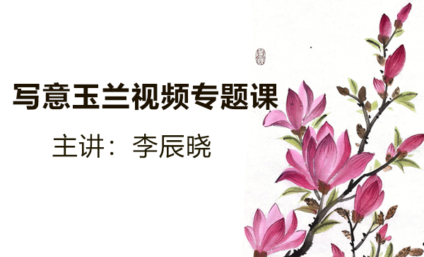 写意玉兰视频专题课