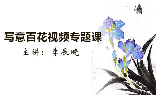 写意百花视频专题课