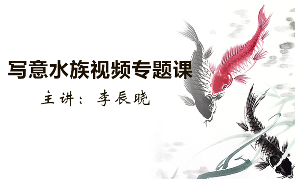 写意水族视频专题课
